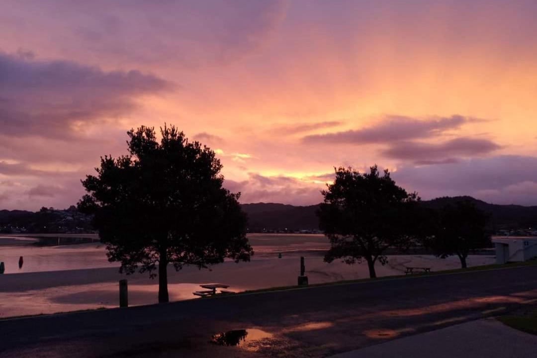 Photo of Others in Tairua