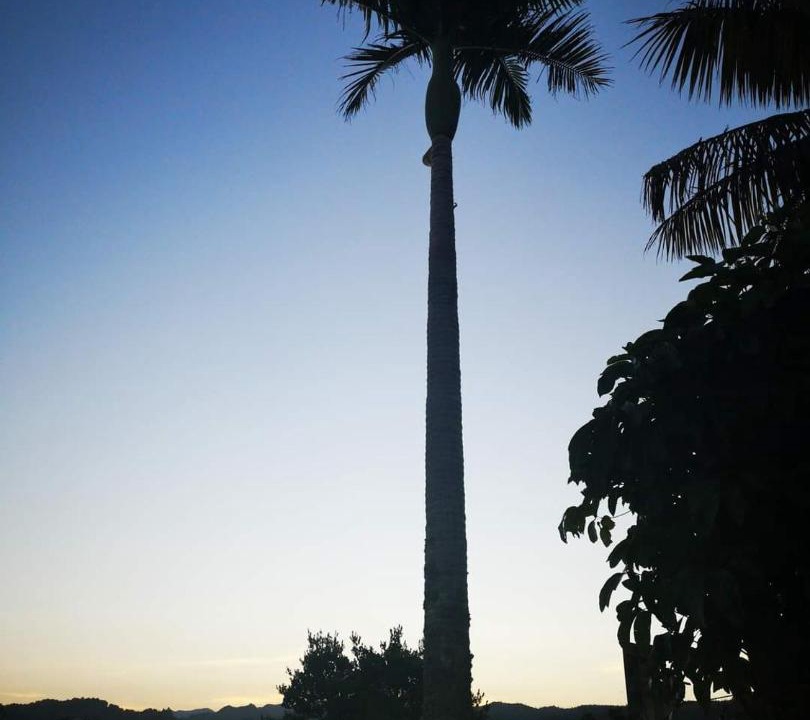 Photo of Others in Tairua