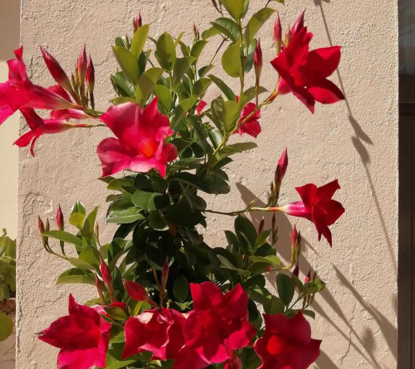 Photo of Others in Le Perrier