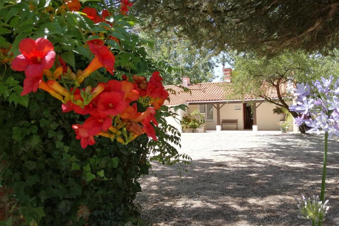 Photo of Others in Le Perrier