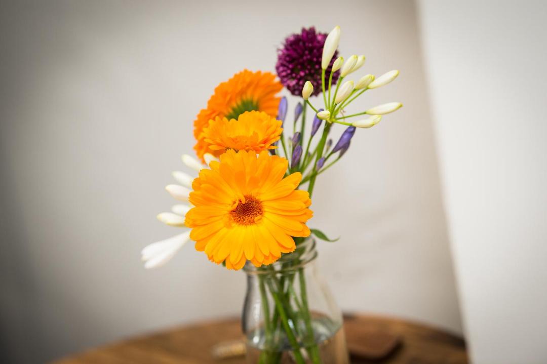 Photo of Others in Higher Walton