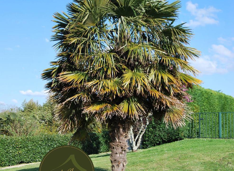 Photo of Others in Chenac-Saint-Seurin-d'Uzet