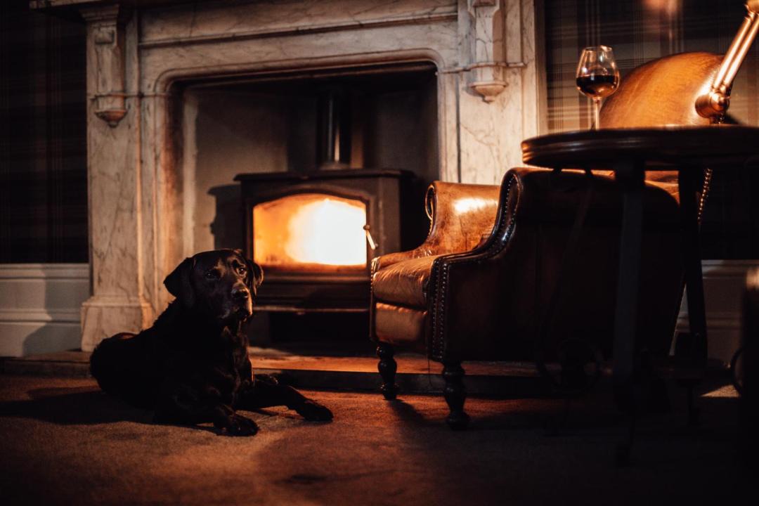 Photo of Others in Giggleswick