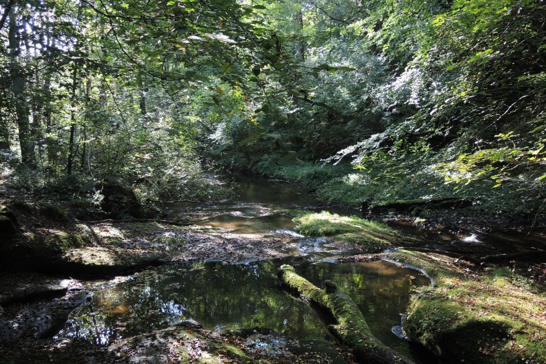 Photo of Others in Hurst Green