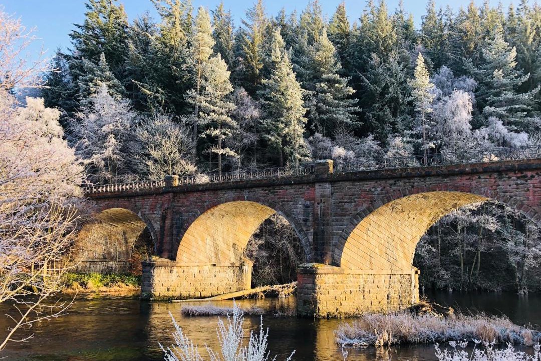 Photo of Others in Peebles