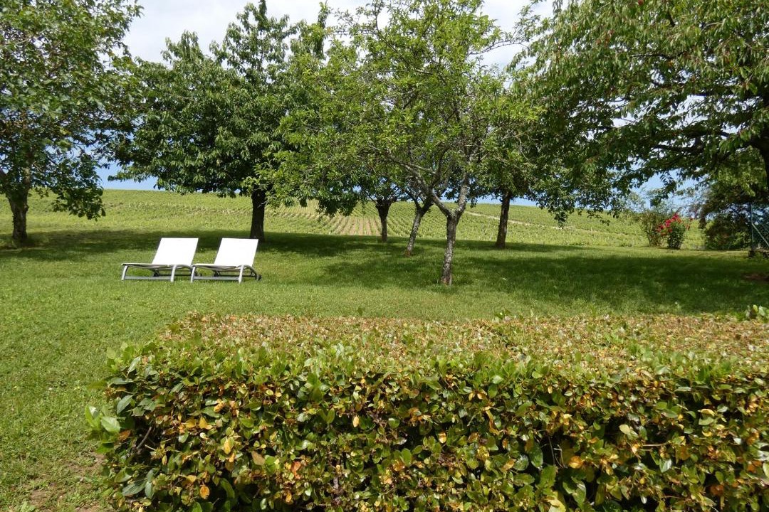 Photo of Outdoor in Verdigny