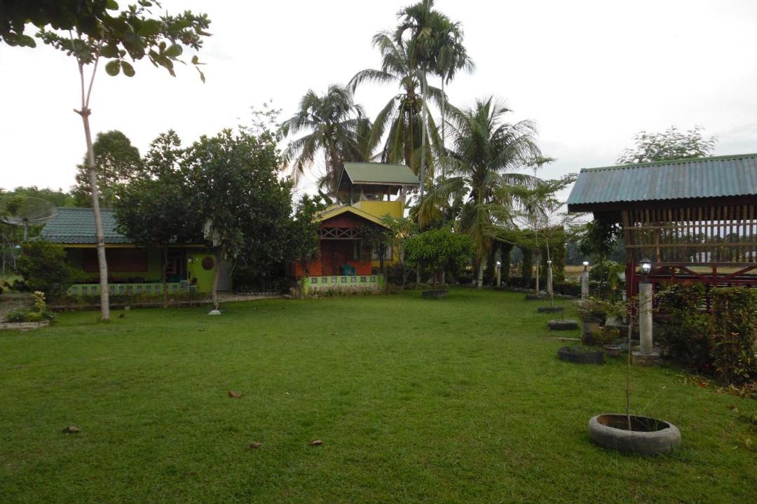 Photo of Others in Bohorok
