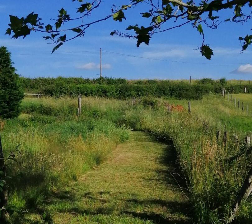 Photo of Others in Jarnosse