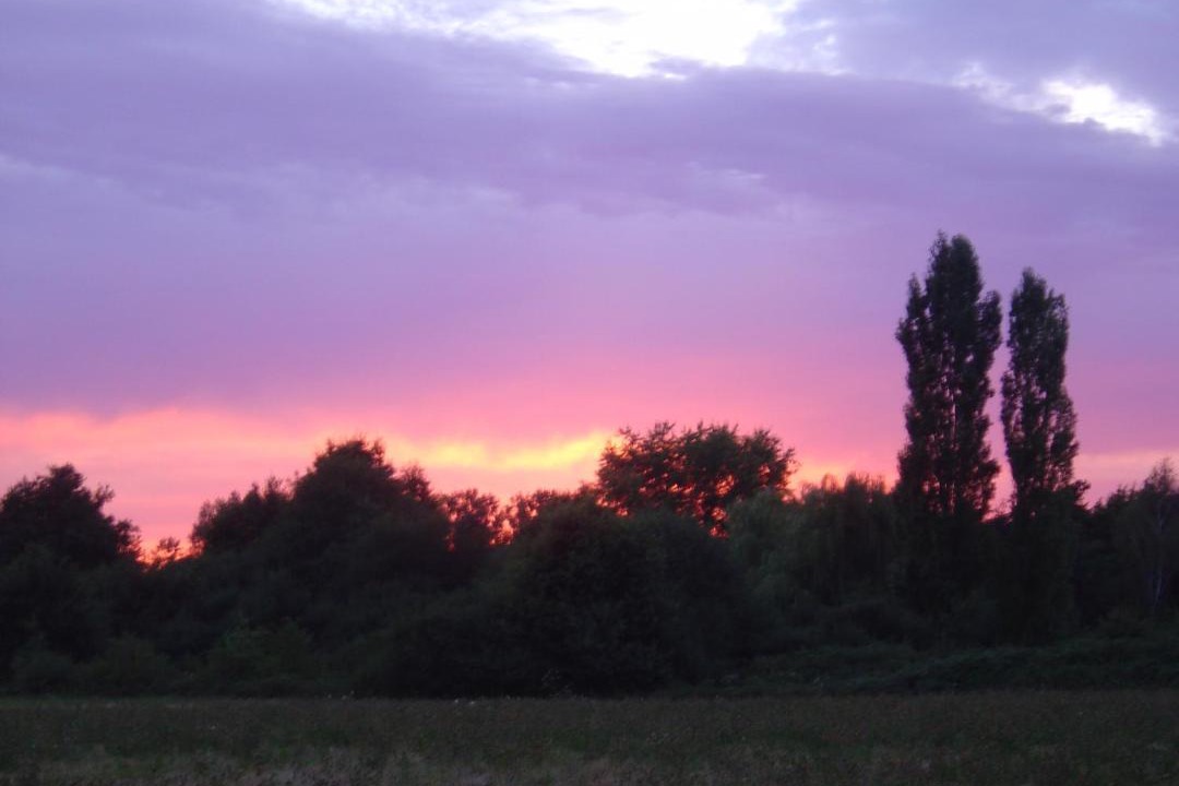 Photo of Others in Videix