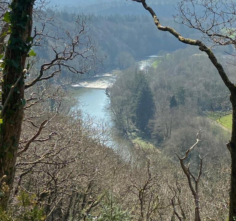 Photo of Others in Gunnislake