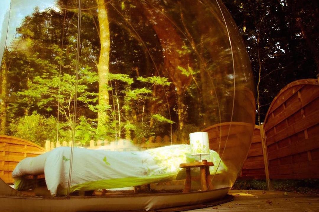 Photo of Others in Dournazac