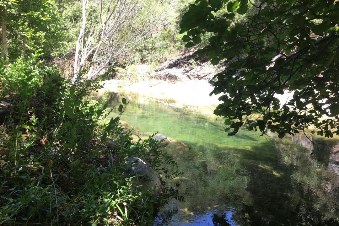 Photo of Others in Termes