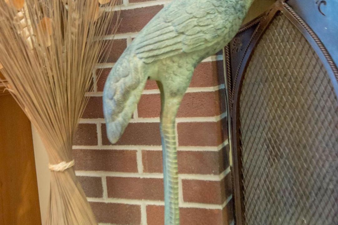 Photo of Others in Solomons