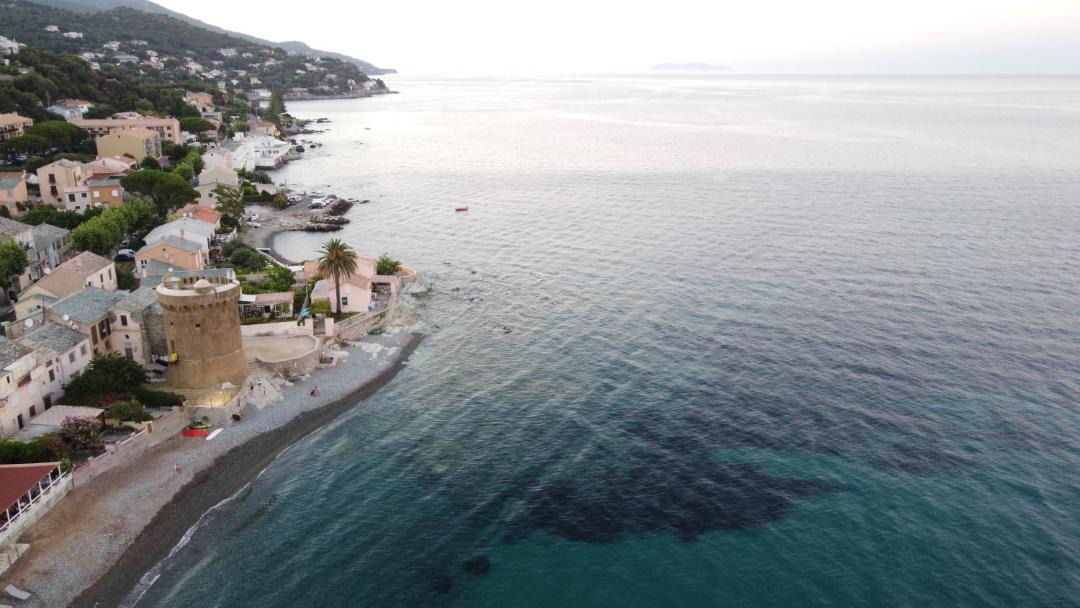 Photo of Others in Figarella