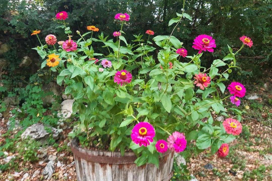 Photo of Others in Lectoure