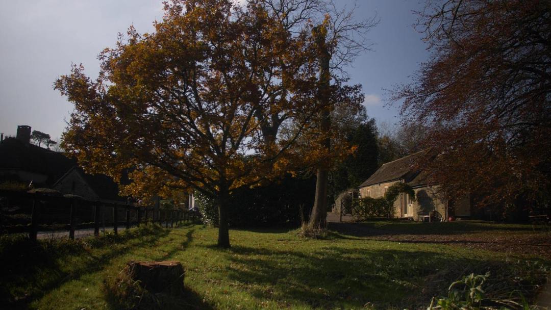 Photo of Others in West Compton