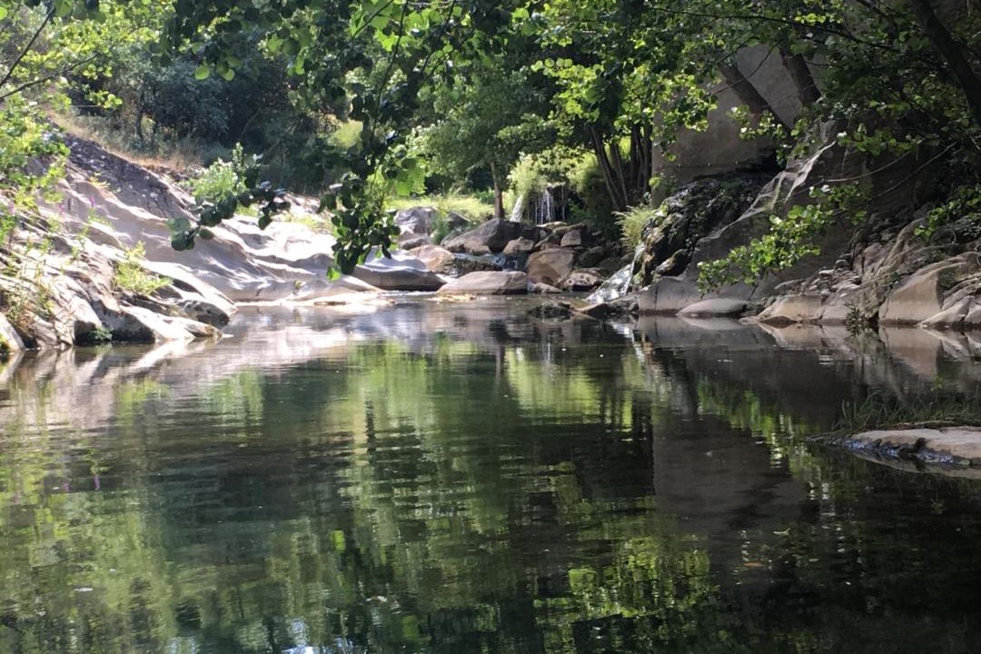 Photo of Others in Termes