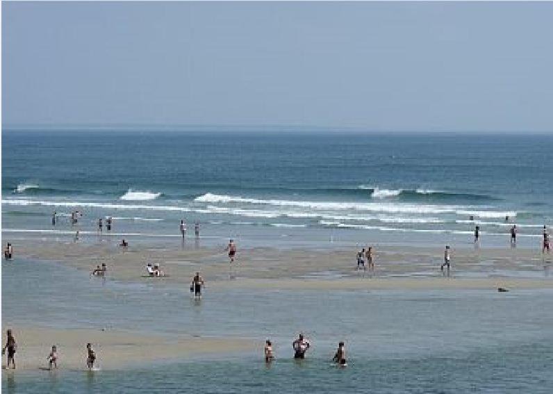 Photo of Others in Wells