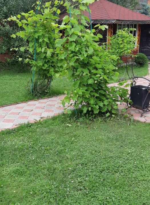 Photo of Buildings in Vasil'Evskoe