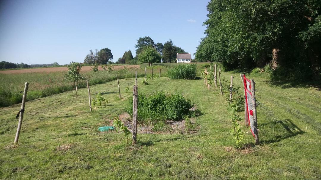 Photo of Others in Bains-sur-Oust