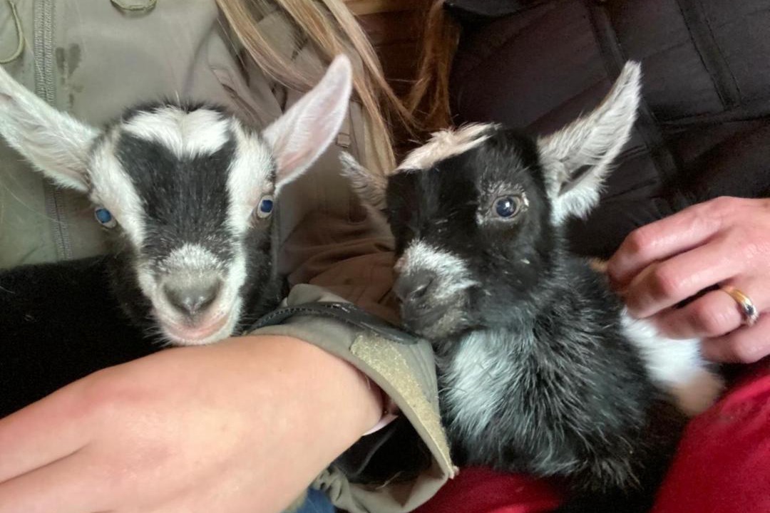 Photo of Others in Onich