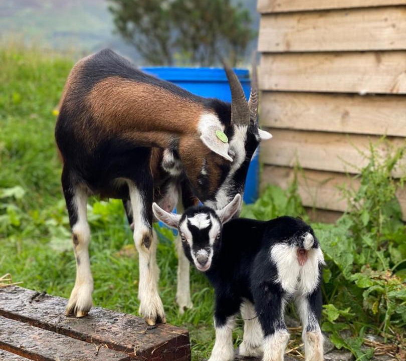 Photo of Others in Onich