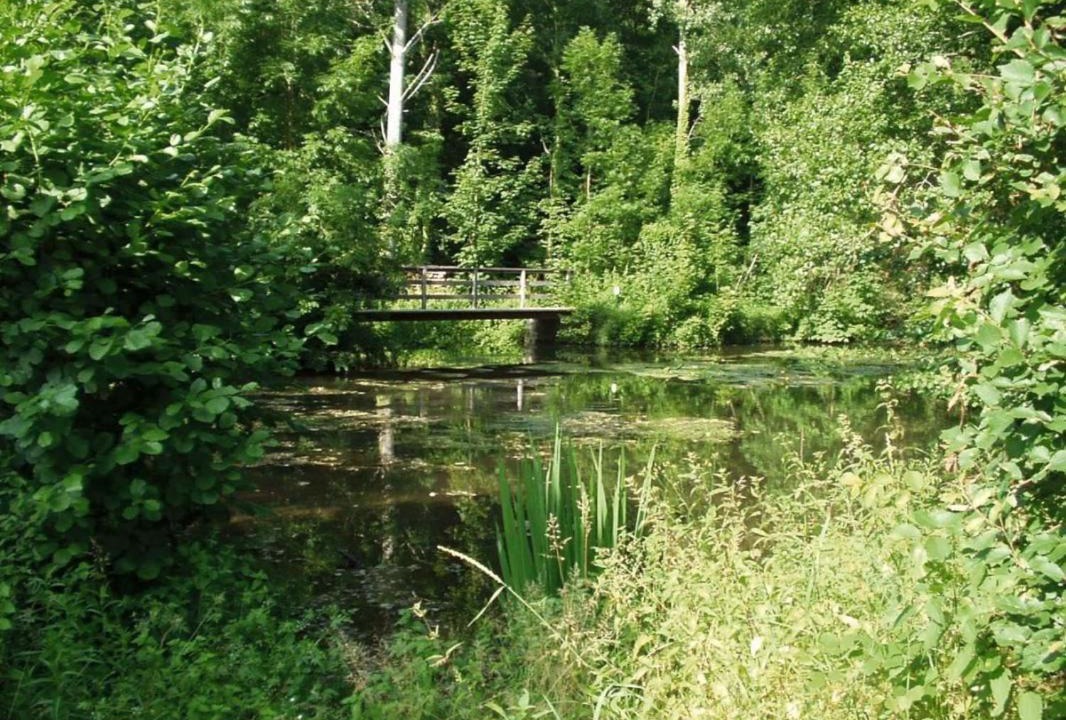 Photo of Outdoor in Augerville-la-Riviere