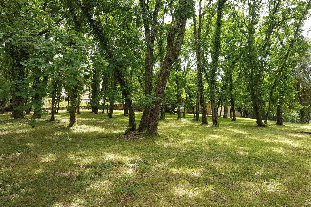 Photo of Outdoor in Baneuil