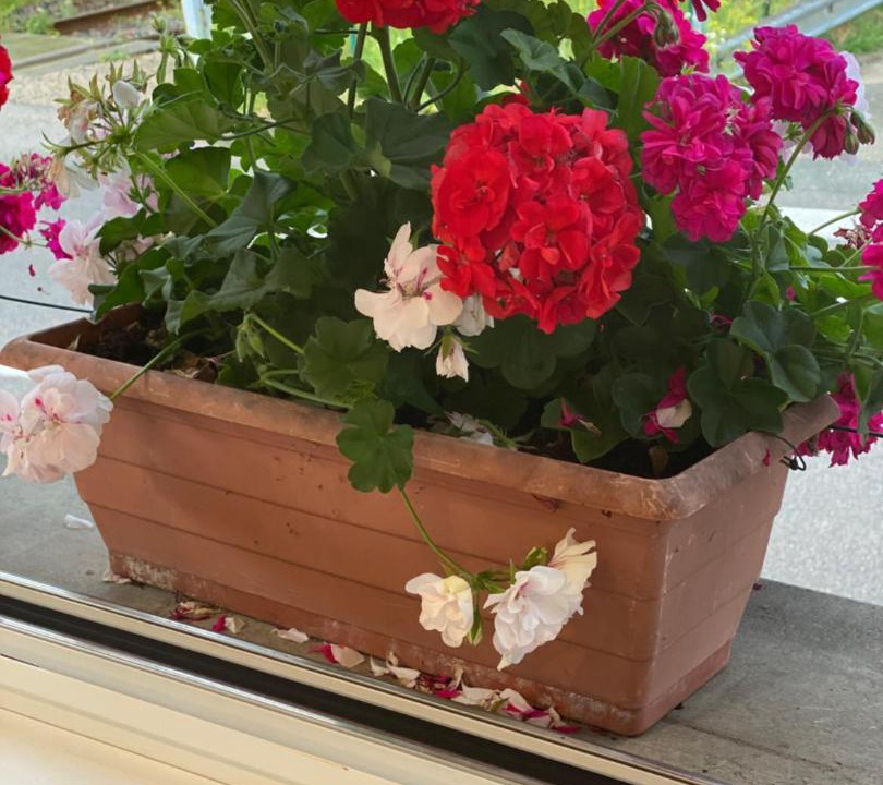 Photo of Others in Grand'Combe-Chateleu