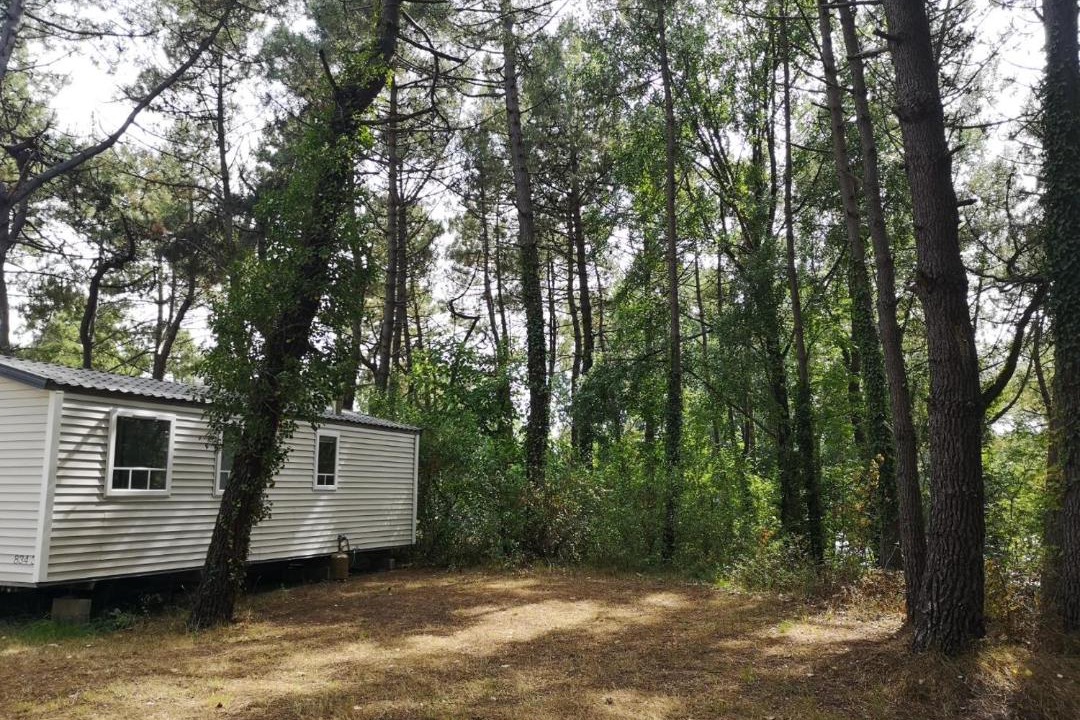 Photo of Others in Camiers