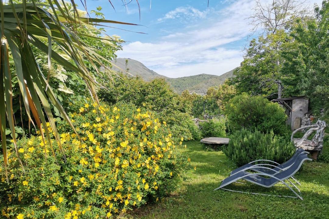 Photo of Others in Alando