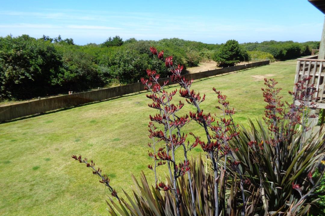 Photo of Others in Ocean Shores