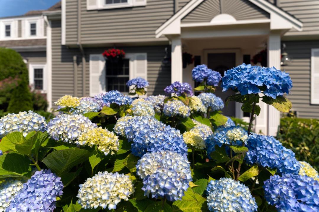 Photo of Others in Chatham