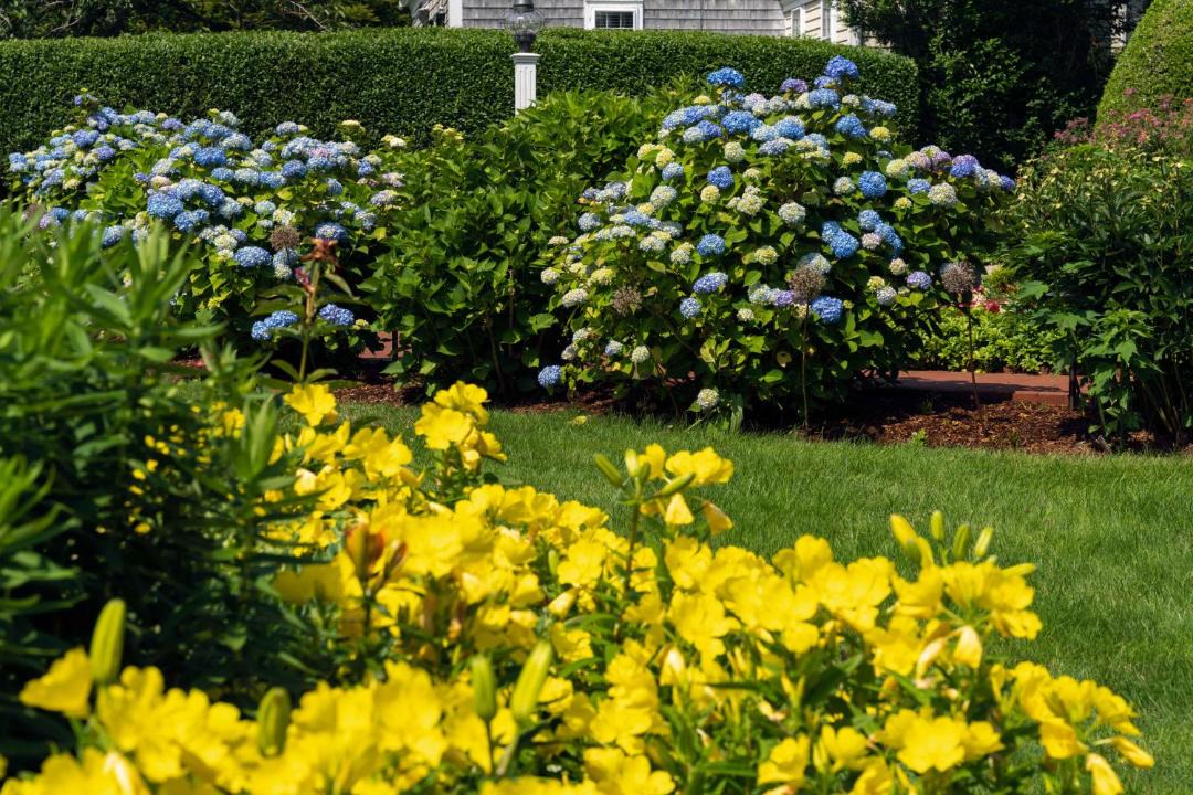 Photo of Others in Chatham