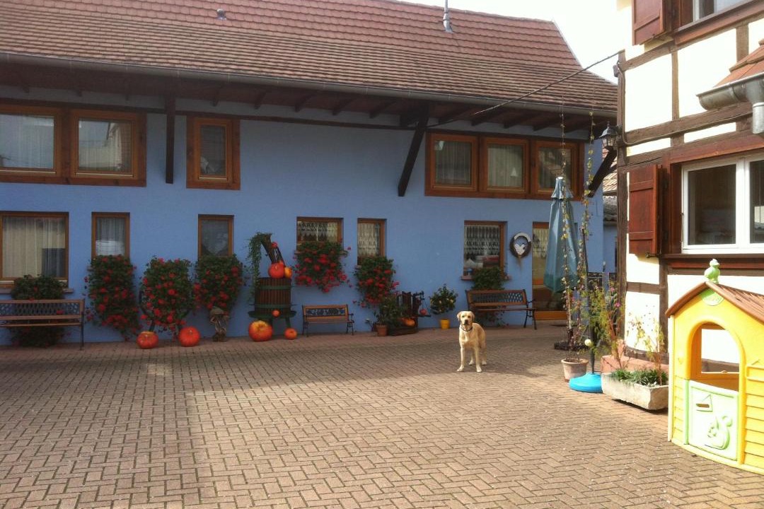 Photo of Others in Lipsheim