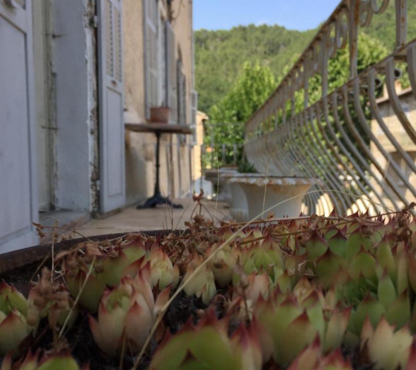 Photo of Others in Ghisoni