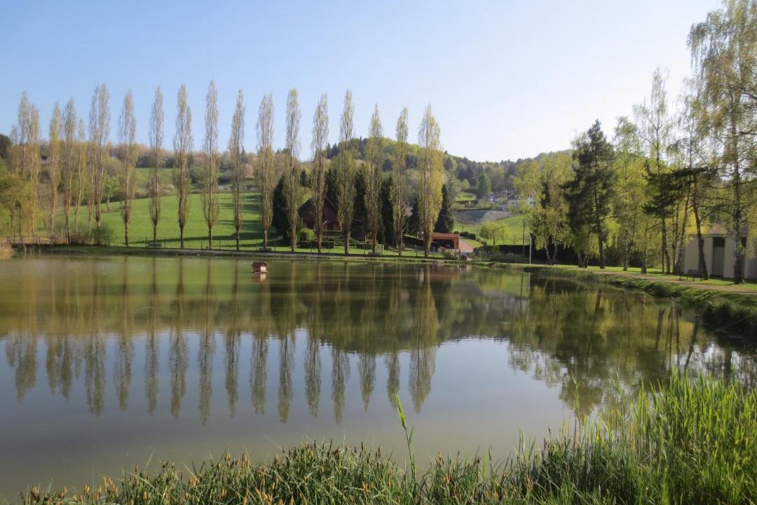 Photo of Others in Ferrette