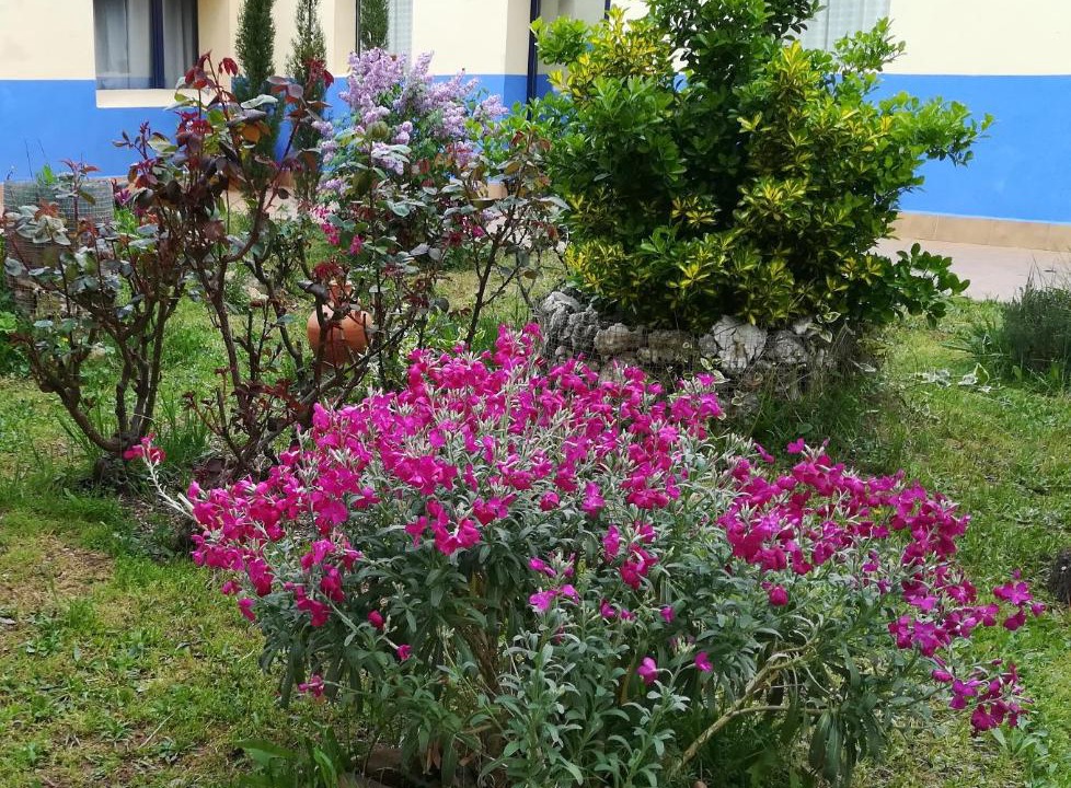 Photo of Others in Granja de San Pedro