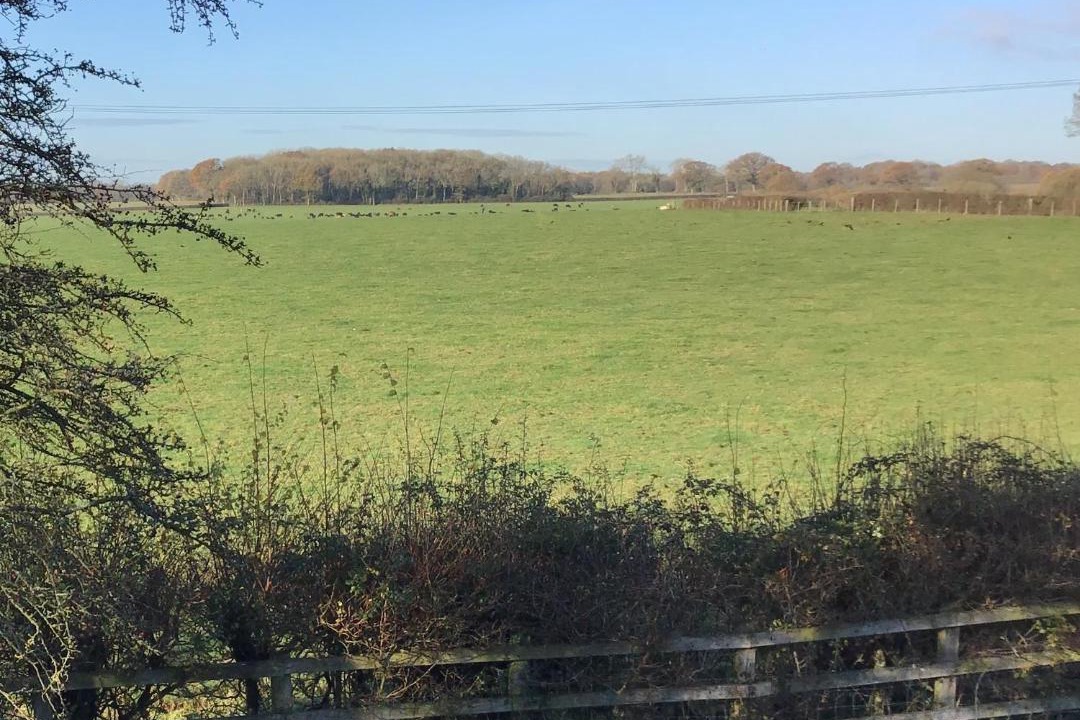 Photo of Others in Braishfield