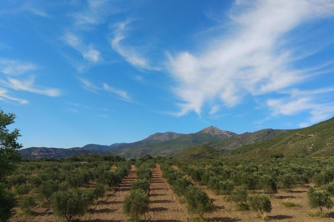 Photo of Outdoor in Poggio-dʼOletta