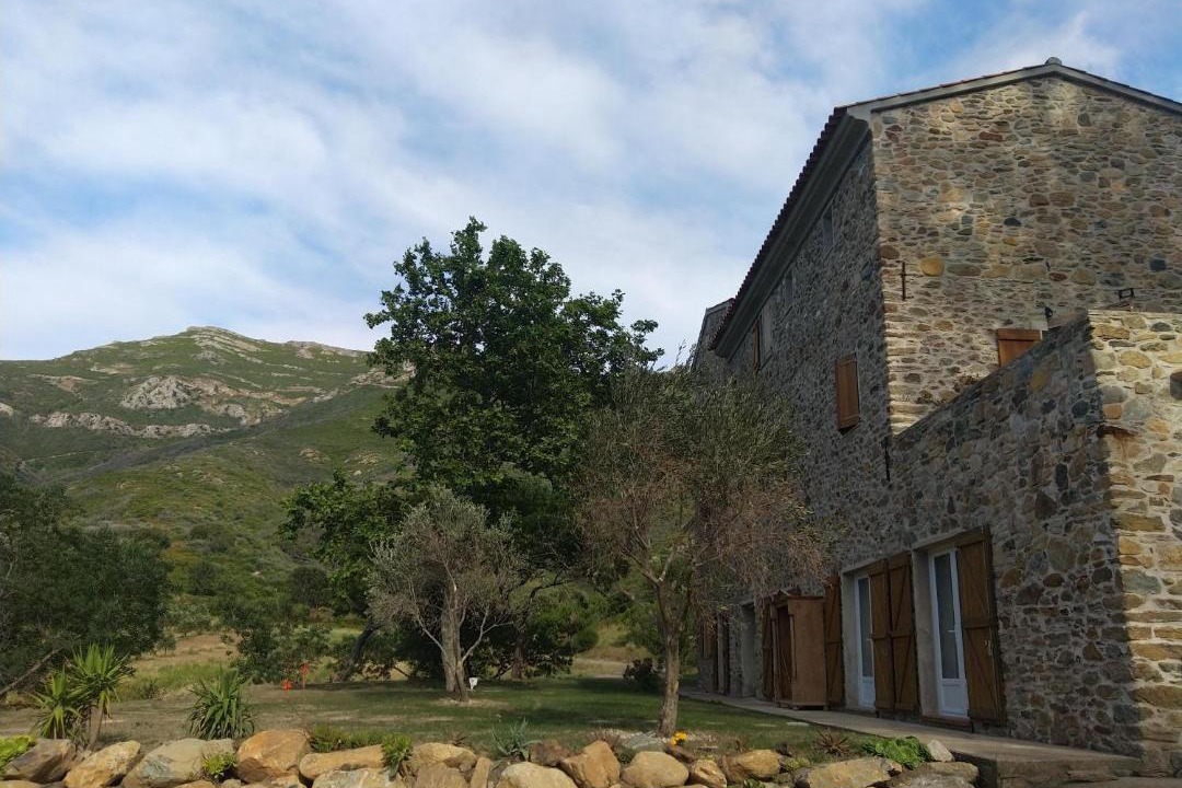 Photo of Buildings in Poggio-dʼOletta