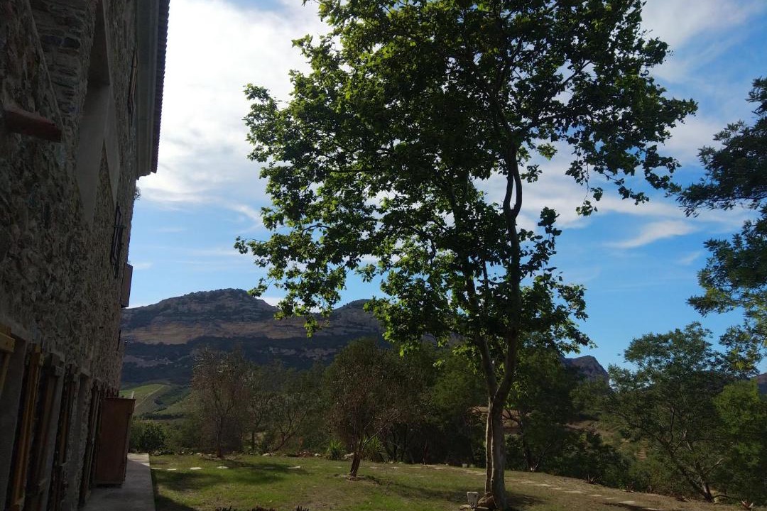 Photo of Others in Poggio-dʼOletta