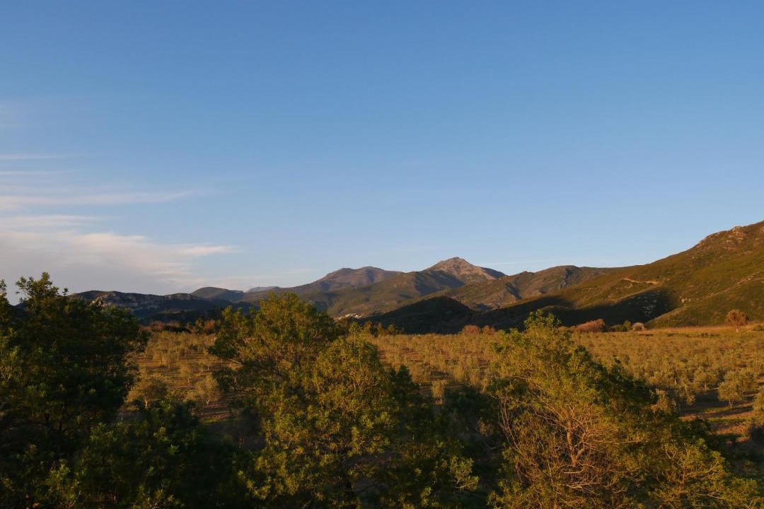 Photo of Outdoor in Poggio-dʼOletta