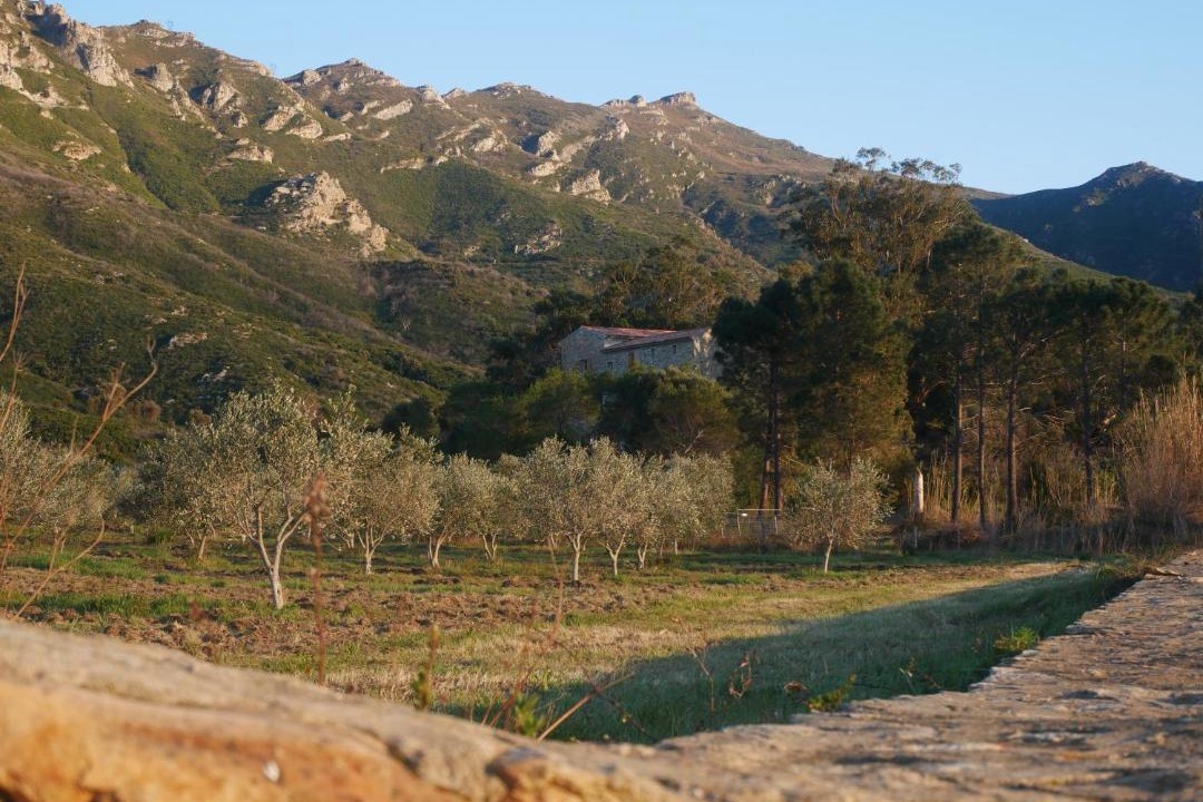 Photo of Outdoor in Poggio-dʼOletta