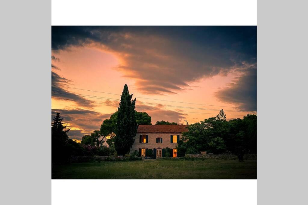 Photo of Others in Cruzy