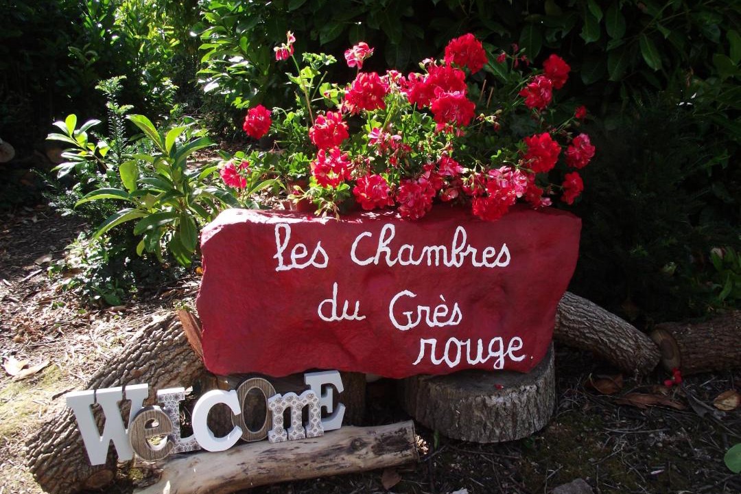 Photo of Others in Beauval