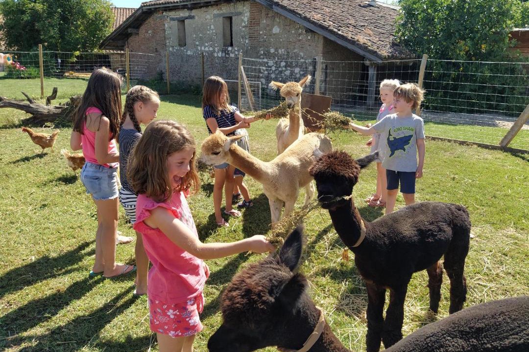 Photo of Others in Fongrave