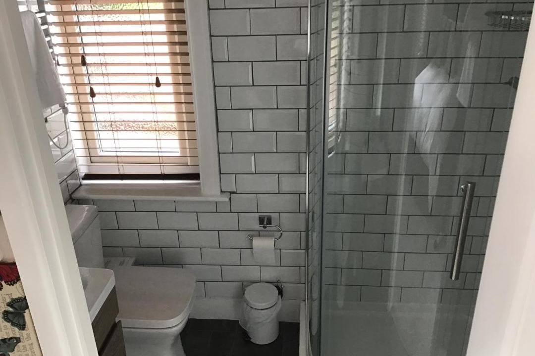 Photo of Others in New Forest District