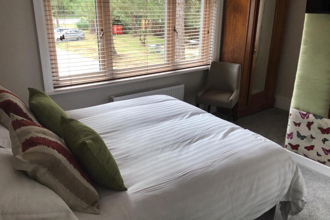 Photo of Others in New Forest District