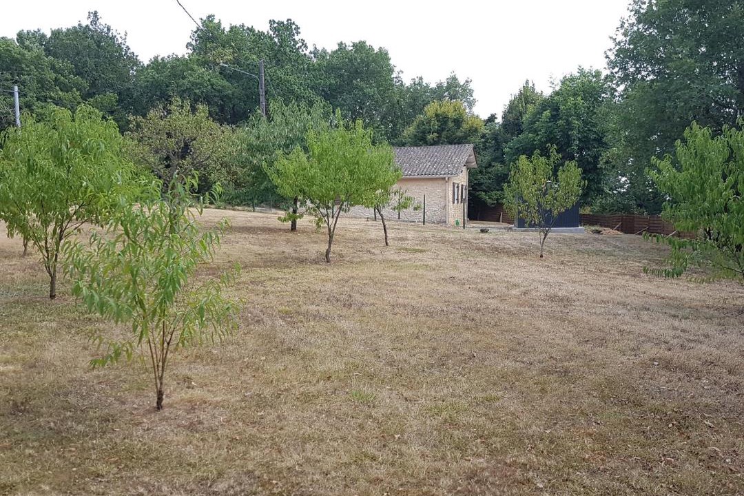 Photo of Others in Baneuil